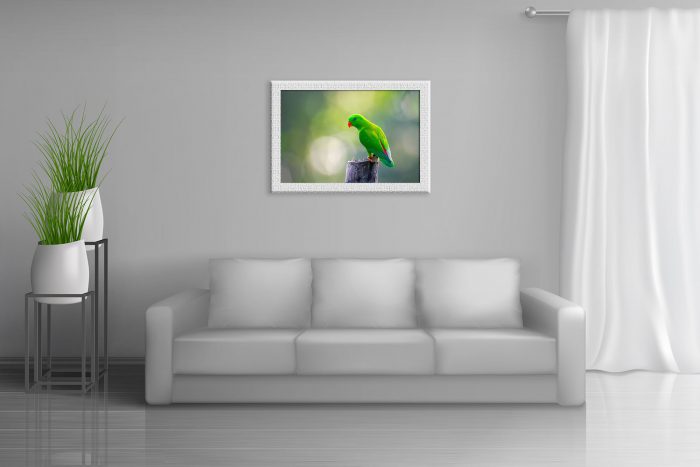 Vernal hanging parrot by Suvradeep Mitra