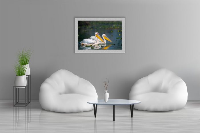 Great White Pelican by Santosh Mahalik